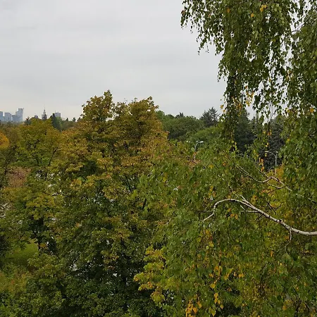 Mirrorroom Pl Airport